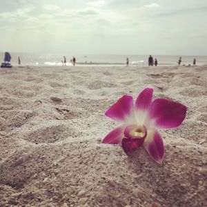 Meet your Posher, Clarissa